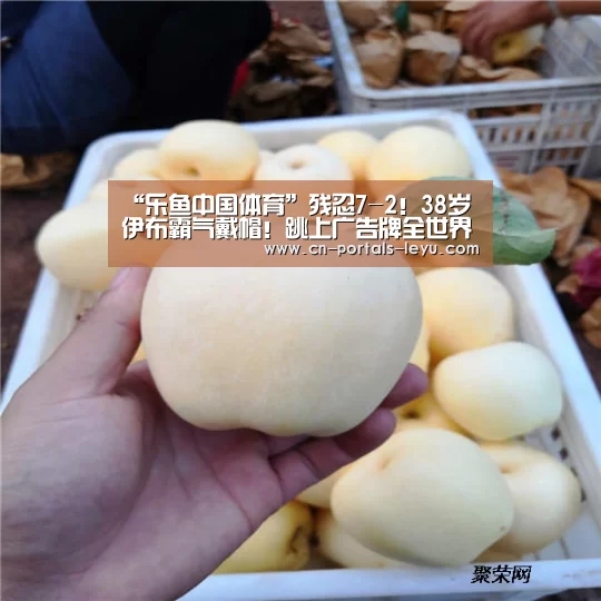 乐鱼LEYU