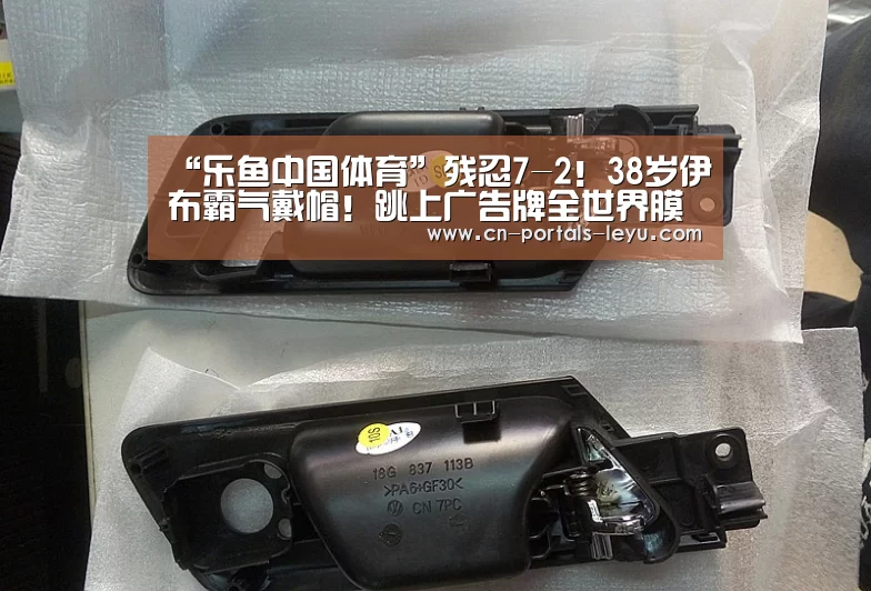 乐鱼中国体育